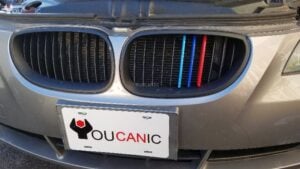 Bmw M Style Grill Stripes