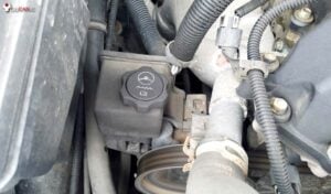 Chevrolet Check & Add Power Steering Fluid
