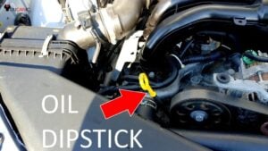 Subaru Check & Add  Engine Oil
