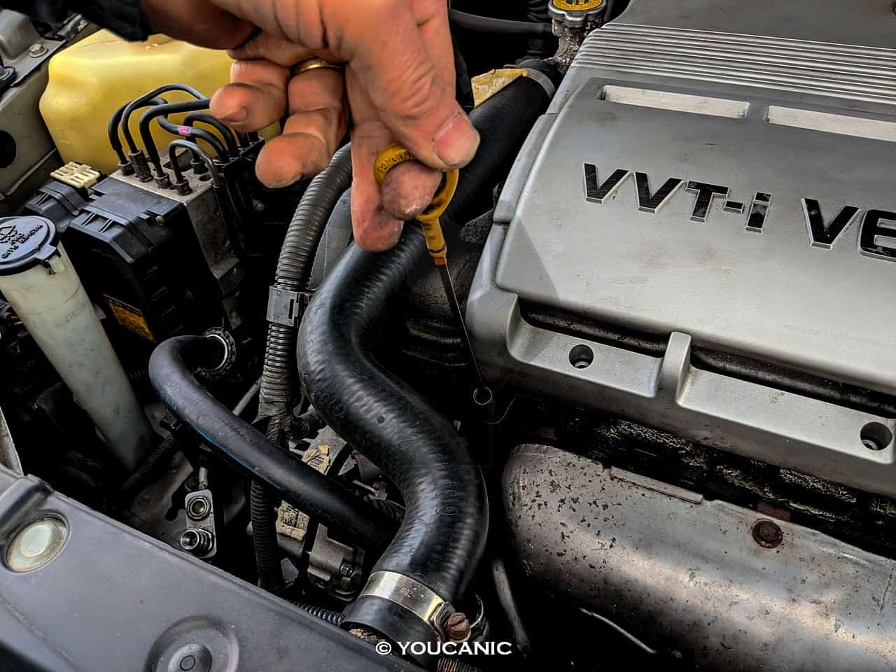 Check Engine Oil Lexus